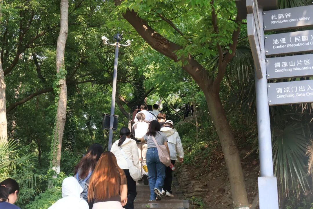 j9国际厅